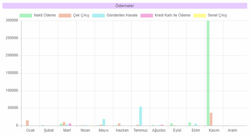 ödeme tahsilat raporu
